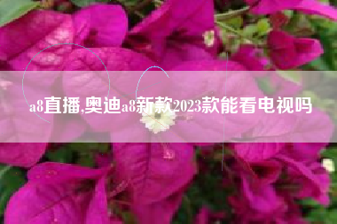 a8直播,奥迪a8新款2023款能看电视吗