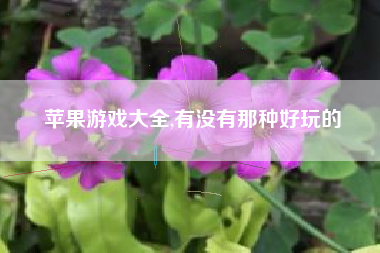 苹果游戏大全,有没有那种好玩的