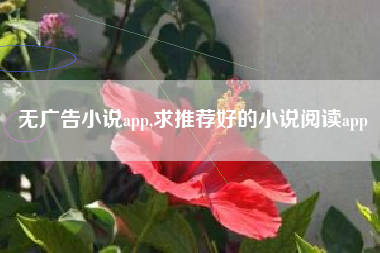无广告小说app,求推荐好的小说阅读app