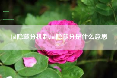 lol隐藏分机制,lol隐藏分是什么意思