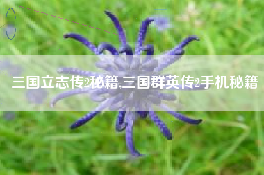 三国立志传2秘籍,三国群英传2手机秘籍