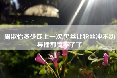 周淑怡多少钱上一次,黑丝让粉丝冲不动导播都受不了了