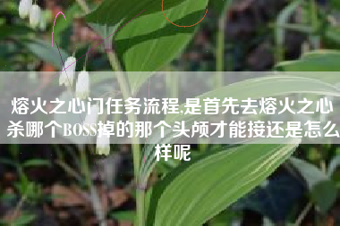 熔火之心门任务流程,是首先去熔火之心杀哪个BOSS掉的那个头颅才能接还是怎么样呢