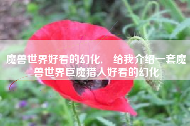 魔兽世界好看的幻化,誰给我介绍一套魔兽世界巨魔猎人好看的幻化