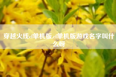 穿越火线cf单机版,cf单机版游戏名字叫什么呀