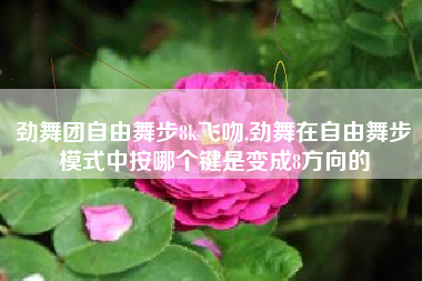 劲舞团自由舞步8k飞吻,劲舞在自由舞步模式中按哪个键是变成8方向的