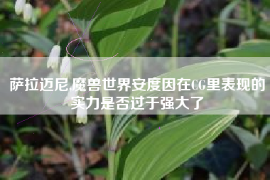 萨拉迈尼,魔兽世界安度因在CG里表现的实力是否过于强大了