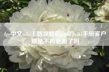 fgo中文wiki主题攻略站,fgo的wiki手册客户端是不再更新了吗