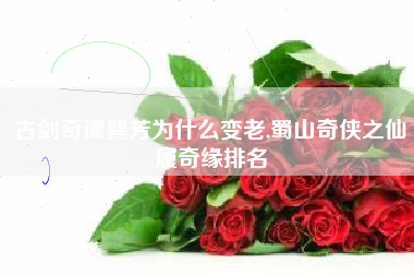 古剑奇谭巽芳为什么变老,蜀山奇侠之仙履奇缘排名