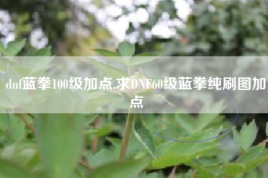 dnf蓝拳100级加点,求DNF60级蓝拳纯刷图加点