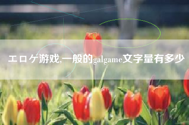 エロゲ游戏,一般的galgame文字量有多少