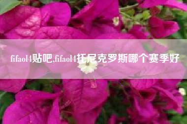 fifaol4贴吧,fifaol4托尼克罗斯哪个赛季好