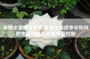 帝国全面战争攻略,帝国全面战争中如何把本国的援兵交给电脑控制