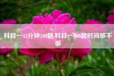 科目一45分钟100题,科目一100题时间够不够