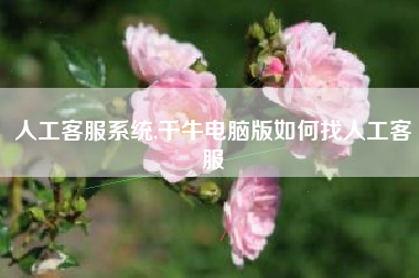 人工客服系统,千牛电脑版如何找人工客服
