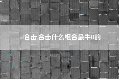 sf合击,合击什么组合最牛B的