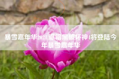 暴雪嘉年华2021,曝暗黑破坏神4将登陆今年暴雪嘉年华