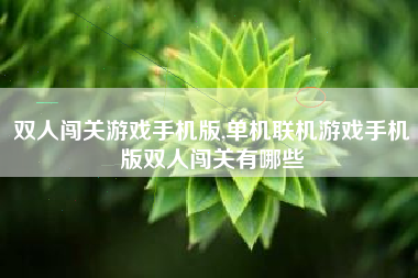 双人闯关游戏手机版,单机联机游戏手机版双人闯关有哪些