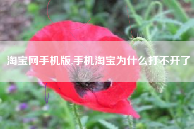 淘宝网手机版,手机淘宝为什么打不开了
