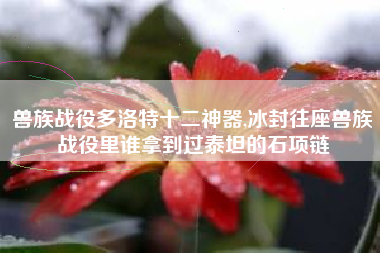 兽族战役多洛特十二神器,冰封往座兽族战役里谁拿到过泰坦的石项链