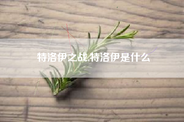 特洛伊之战,特洛伊是什么