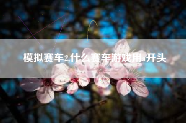 模拟赛车2,什么赛车游戏用a开头