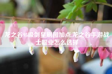 龙之谷95级剑皇刷图加点,龙之谷手游战士职业怎么选择