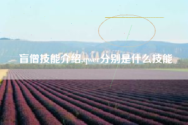 盲僧技能介绍,qwer分别是什么技能