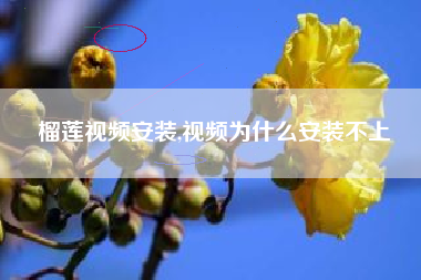 榴莲视频安装,视频为什么安装不上
