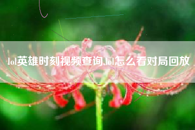 lol英雄时刻视频查询,lol怎么看对局回放