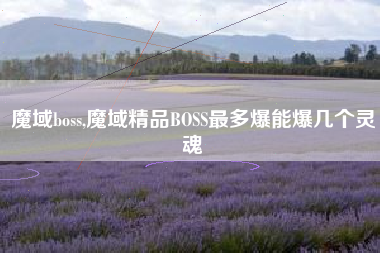魔域boss,魔域精品BOSS最多爆能爆几个灵魂