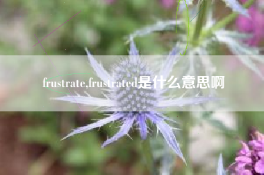 frustrate,frustrated是什么意思啊