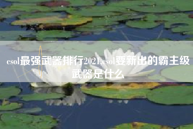 csol最强武器排行2021,csol要新出的霸主级武器是什么