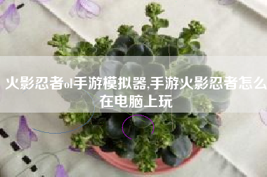 火影忍者ol手游模拟器,手游火影忍者怎么在电脑上玩