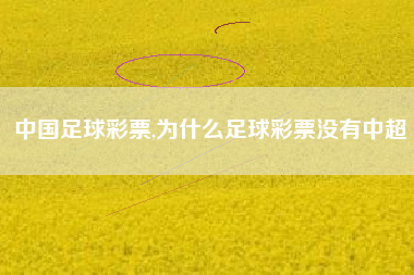 中国足球彩票,为什么足球彩票没有中超