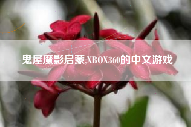 鬼屋魔影启蒙,XBOX360的中文游戏