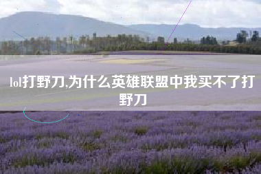 lol打野刀,为什么英雄联盟中我买不了打野刀