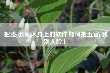 把脸p到别人身上的软件,如何把五官p到别人脸上