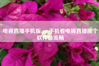 电视直播手机版app,手机看电视直播哪个软件最流畅