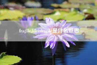 fragile,lifeisfragile是什么意思