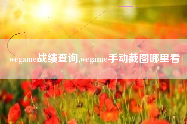 wegame战绩查询,wegame手动截图哪里看