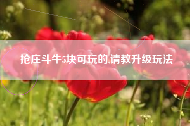 抢庄斗牛5块可玩的,请教升级玩法