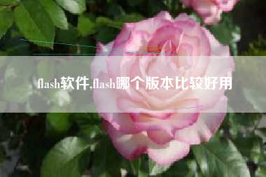 flash软件,flash哪个版本比较好用