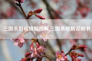 三国杀游戏规则图解,三国杀规则说明书