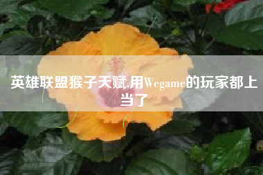 英雄联盟猴子天赋,用Wegame的玩家都上当了