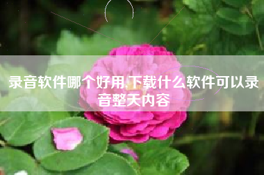录音软件哪个好用,下载什么软件可以录音整天内容