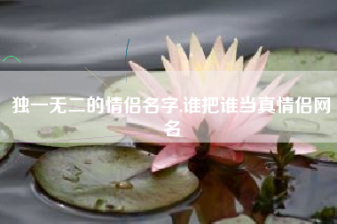 独一无二的情侣名字,谁把谁当真情侣网名