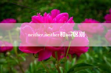 neither,neither和nor区别