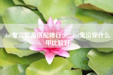 dnf鬼泣装备搭配排行2022,dnf鬼泣穿什么甲比较好