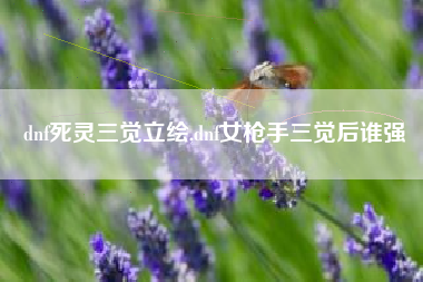 dnf死灵三觉立绘,dnf女枪手三觉后谁强